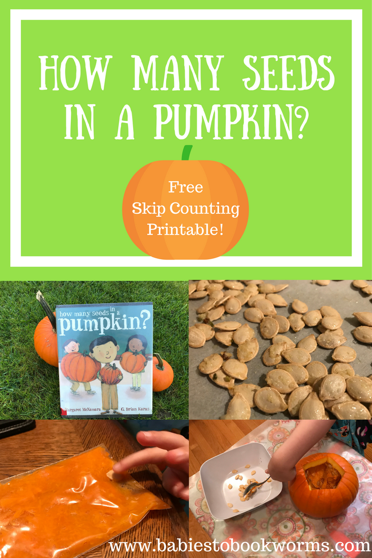 How Many Seeds In A Pumpkin? | Counting Pumpkin Seeds | Babies To Bookworms