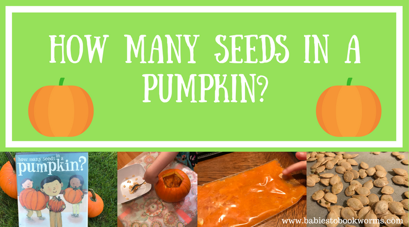 How Many Seeds In A Pumpkin? | Counting Pumpkin Seeds | Babies To Bookworms